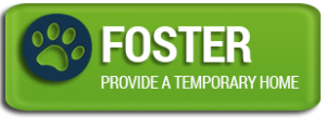 foster